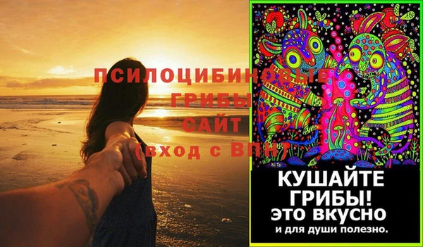 PSILOCYBIN Алексеевка