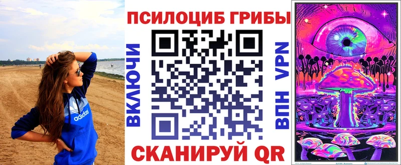 где найти наркотики  Гаврилов Посад  Псилоцибиновые грибы ЛСД 